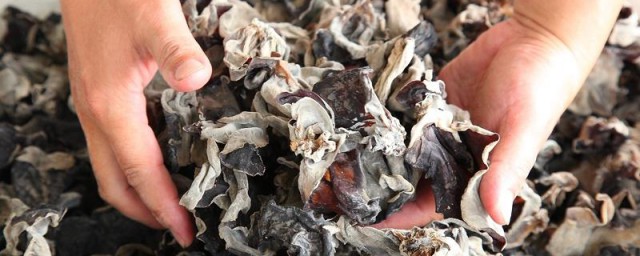 云耳怎样挑选 挑选云耳的技巧简介
