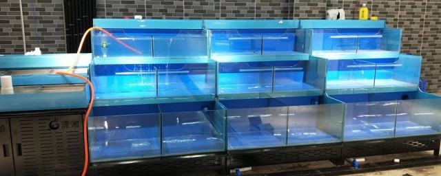 海鲜池水浑解决办法 海鲜池浑浊如何办
