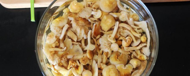 小黄蘑菇的食用办法 尖椒炒小黄蘑如何做
