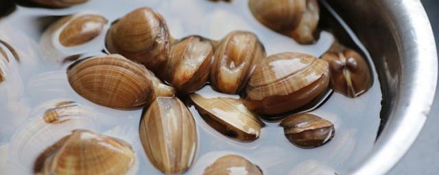 蛤蜊糙米粥的做法 蛤蜊糙米粥如何做