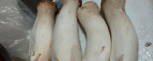 烤箱怎样做鸡腿菇 烤箱怎样做鸡腿菇