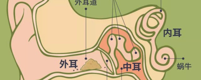 耳屎是湿的如何回事 耳屎是湿的的原因
