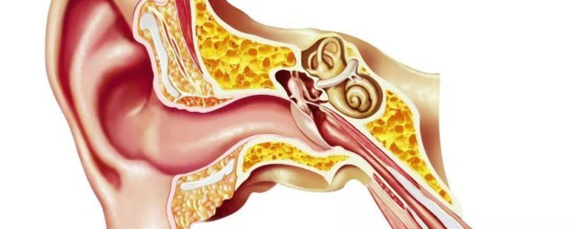 耳屎掏不出来如何办 耳屎掏不出来的原因