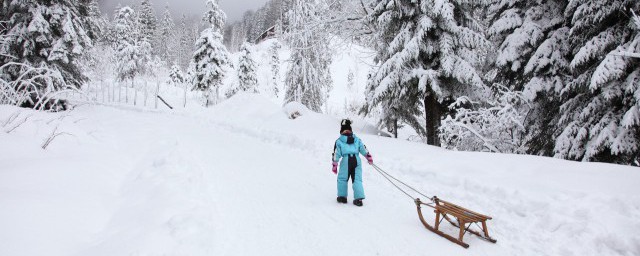 雪景亲子拍摄方式 雪景亲子如何拍摄效果最好