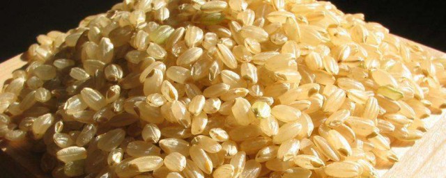 糙米的功能与食用办法 关于食用糙米的好处和要领