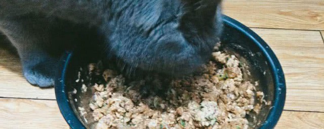 猫饭制作简单便宜 怎样做好吃又便宜的猫饭