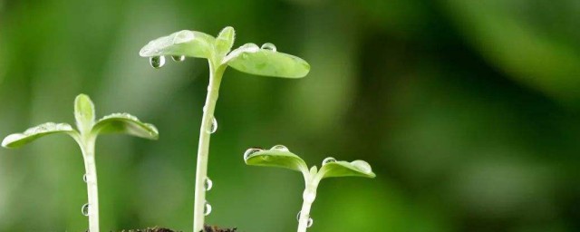 奋斗现实的人生感悟 奋斗现实的人生感悟有哪些