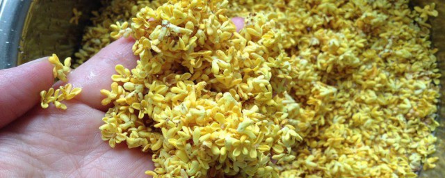 桂花酱使用技巧 桂花酱怎样吃