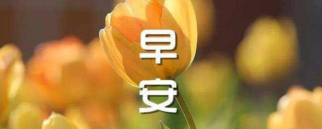 简单的早安心语励志 简单的早安心语励志有哪些