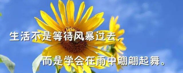 早安励志成功的句子 关于早安励志成功的句子推荐