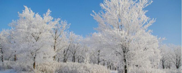 适合初雪发的文案 关于初雪发的文案