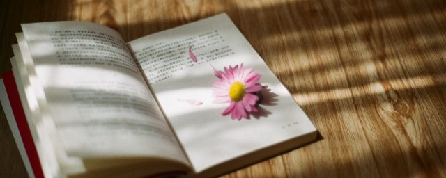 不忎不忈什么意思 忎忈介绍