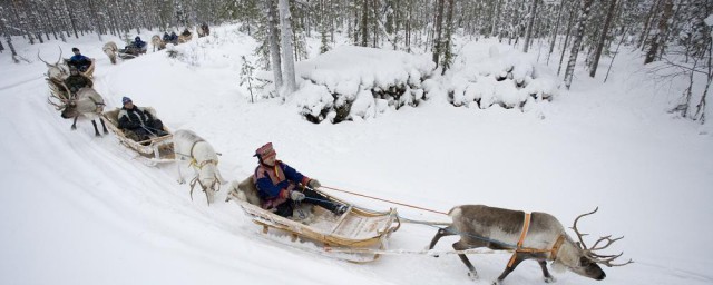 雪橇减小摩擦力的办法 雪橇减小摩擦力的要领有什么