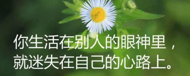 最经典的心情说说 关于心情的最经典说说