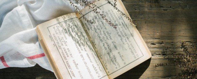 牛子是什么意思 牛子的意思是什么
