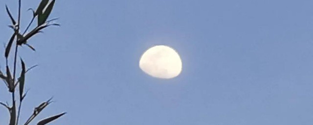 夜深了却睡不着的句子 夜深了却睡不着的句子如下