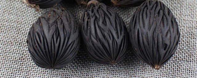 千丝菩提盘玩要领 如何玩千丝菩提