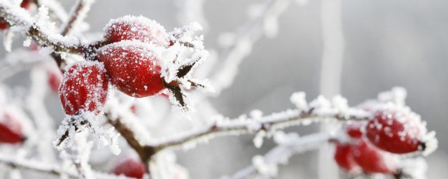 简短下雪心情文案 感叹下雪的说说一句话