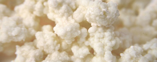 雪莲菇怎样做 红油雪莲菇做法简介