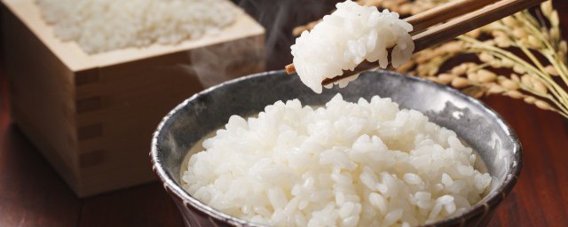 米饭隔夜怎样保存 米饭隔夜保存技巧
