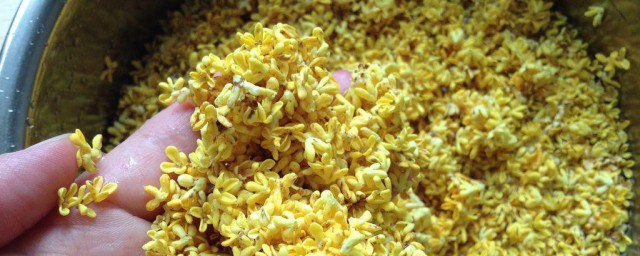 新鲜桂花怎样做干桂花香薰 干桂花香薰做法