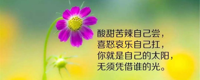 坚持每天打卡激励语 每天正能量打卡励志语录