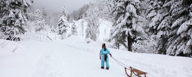 配雪景的唯美文字 配雪景的唯美文字有哪些