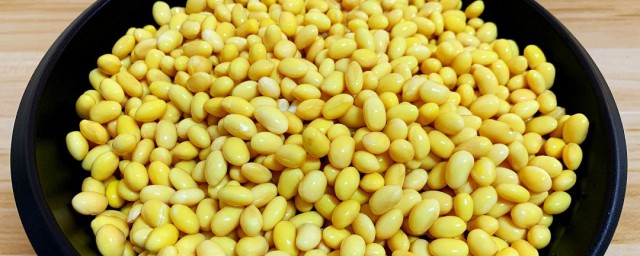 怎样做黄豆水肥 做黄豆水肥技巧