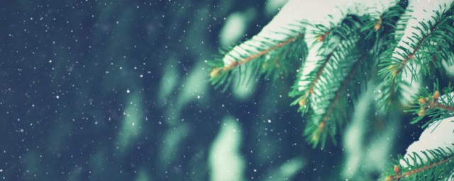 适合在下雪天发的心情短语 只有雪才是那么美