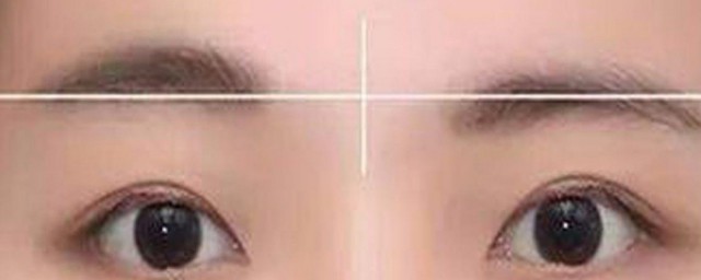新手补眉次序 新手补眉次序是什么