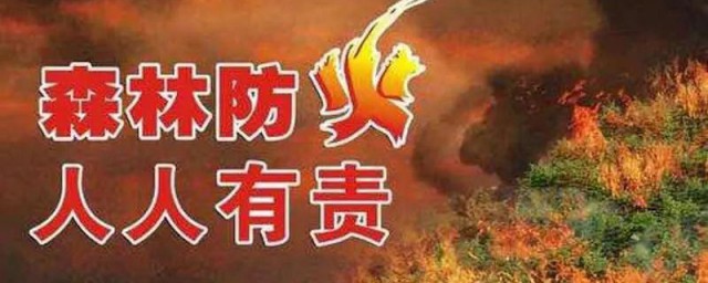 防林火的技巧和技巧 怎样预防林火