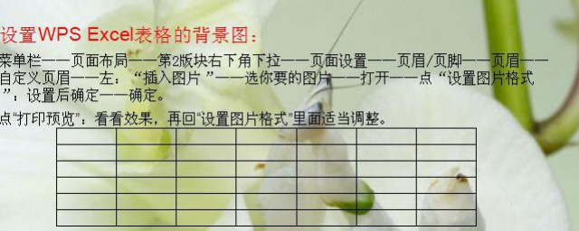 表格底色如何设置 表格底色设置方法