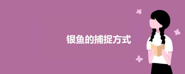银鱼捕捉最佳技巧 捕捉银鱼的技巧与时间