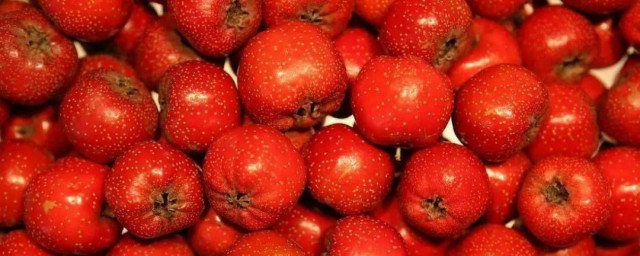 山楂饮料怎样做 山楂饮料做法