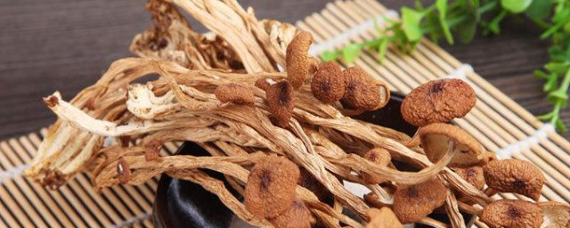 茶树菇怎样保存 储存茶树菇次序