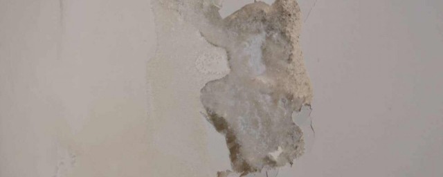 墙体长白毛用什么技巧处理好 怎样彻底解决墙体出白毛