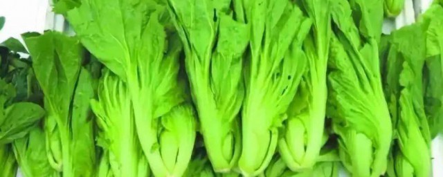 腌制芥菜怎样做 芥菜腌制次序