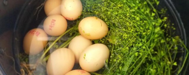 荠菜煮鸡蛋什么样的情况下不能吃 什么时候不能吃荠菜煮鸡蛋