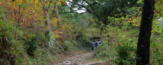 南黄古道今年最佳时间 南黄古道什么时候去最好