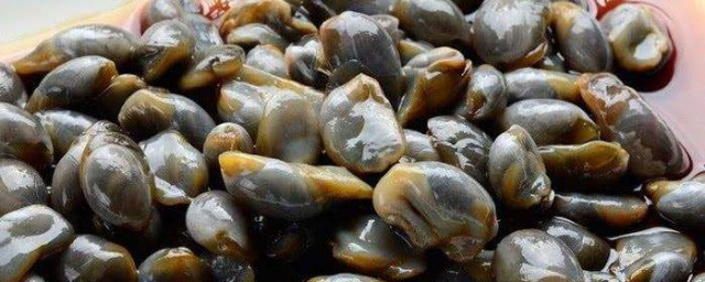 泥螺怎么吐干净泥沙 泥螺吐沙的要领