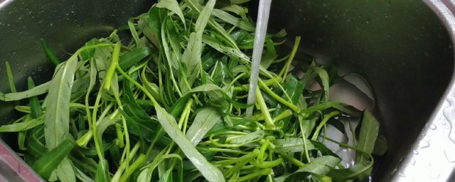 空心菜怎样洗才干净 空心菜的清洗技巧