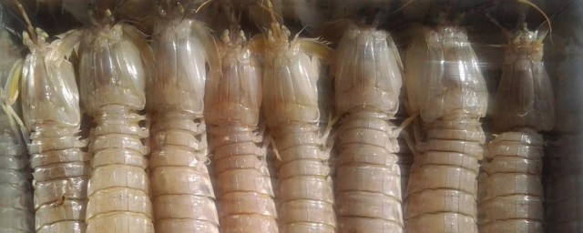 虾姑怎样保存 保存虾姑技巧