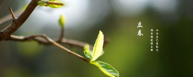 立春的下一个节气是什么呀 简介立春的下一个节气