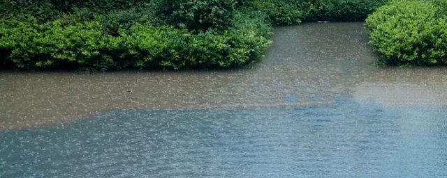 梅雨天什么时间 梅雨天介绍