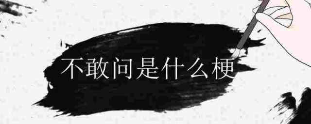 不敢问是什么梗 不敢问梗的简介