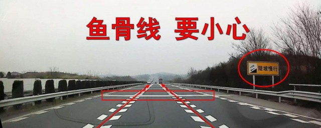 高速上的鱼骨线是干什么用的 高速上的鱼骨线介绍