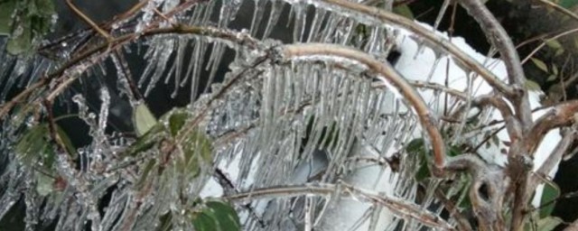 下雪杀菌的原理及解释 下雪杀菌的原理介绍