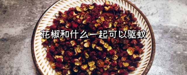 花椒加什么可以驱蚊 花椒和什么一起可以驱蚊