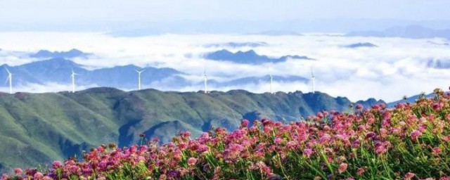 毕节旅游景点大全 毕节旅游景点推荐