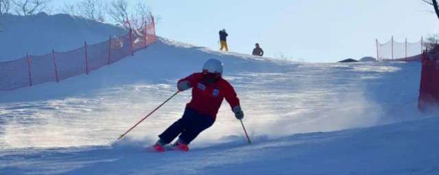 滑双雪板技巧 双板滑雪入门技巧简介